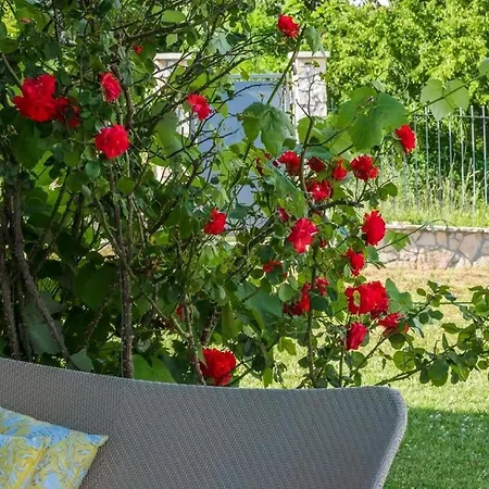 In Sovinjak Mit Grill, Garten Und Terrasse Holiday home